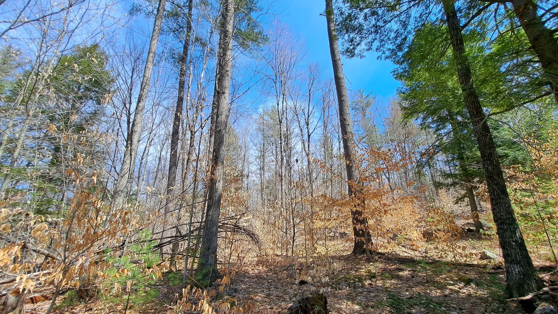 Property at State Route 28, Chestertown, NY 12817 35