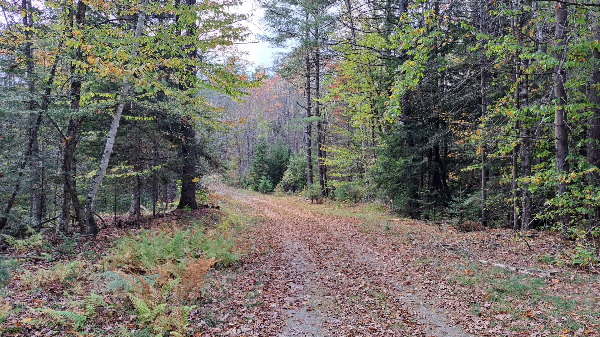 Property at Friends Lake Road, Chestertown, NY 12817 19