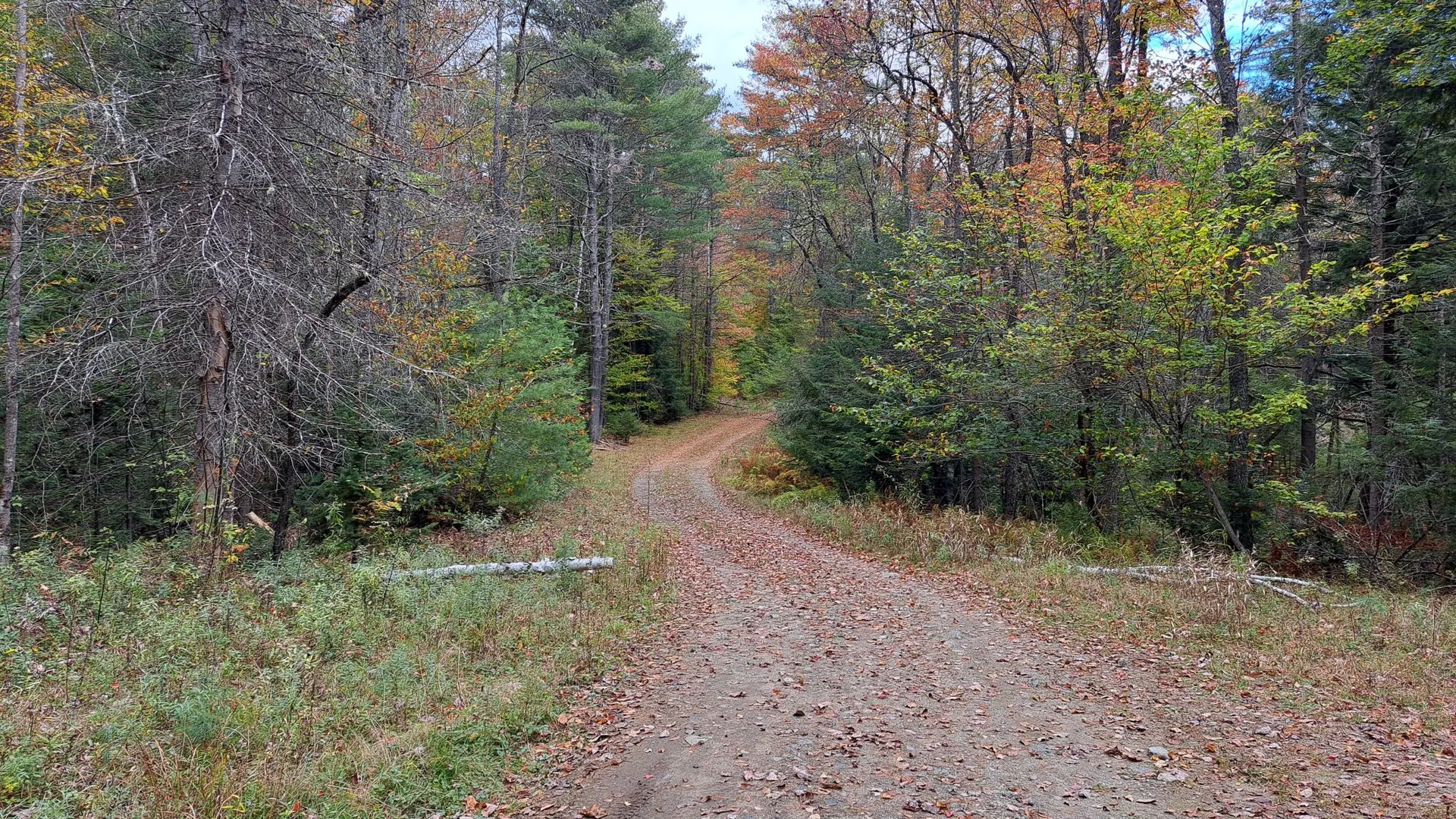 Property at Friends Lake Road, Chestertown, NY 12817 20