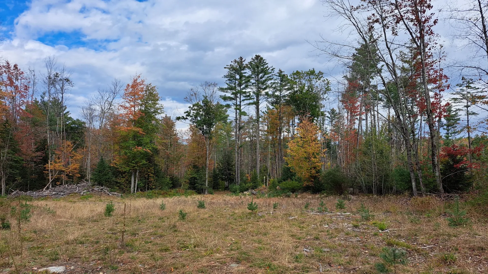 Property at Friends Lake Road, Chestertown, NY 12817 24