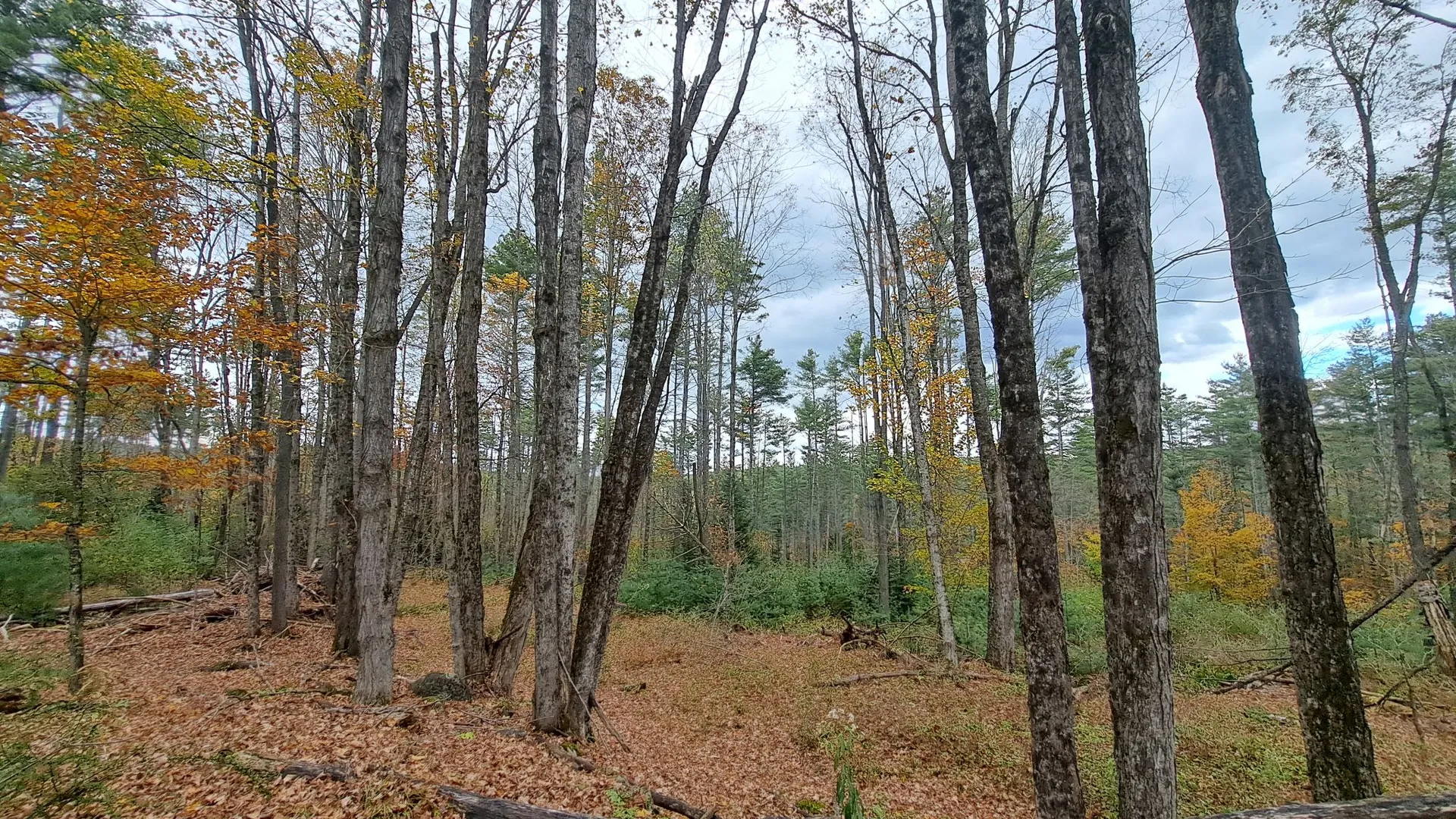 Property at Friends Lake Road, Chestertown, NY 12817 28