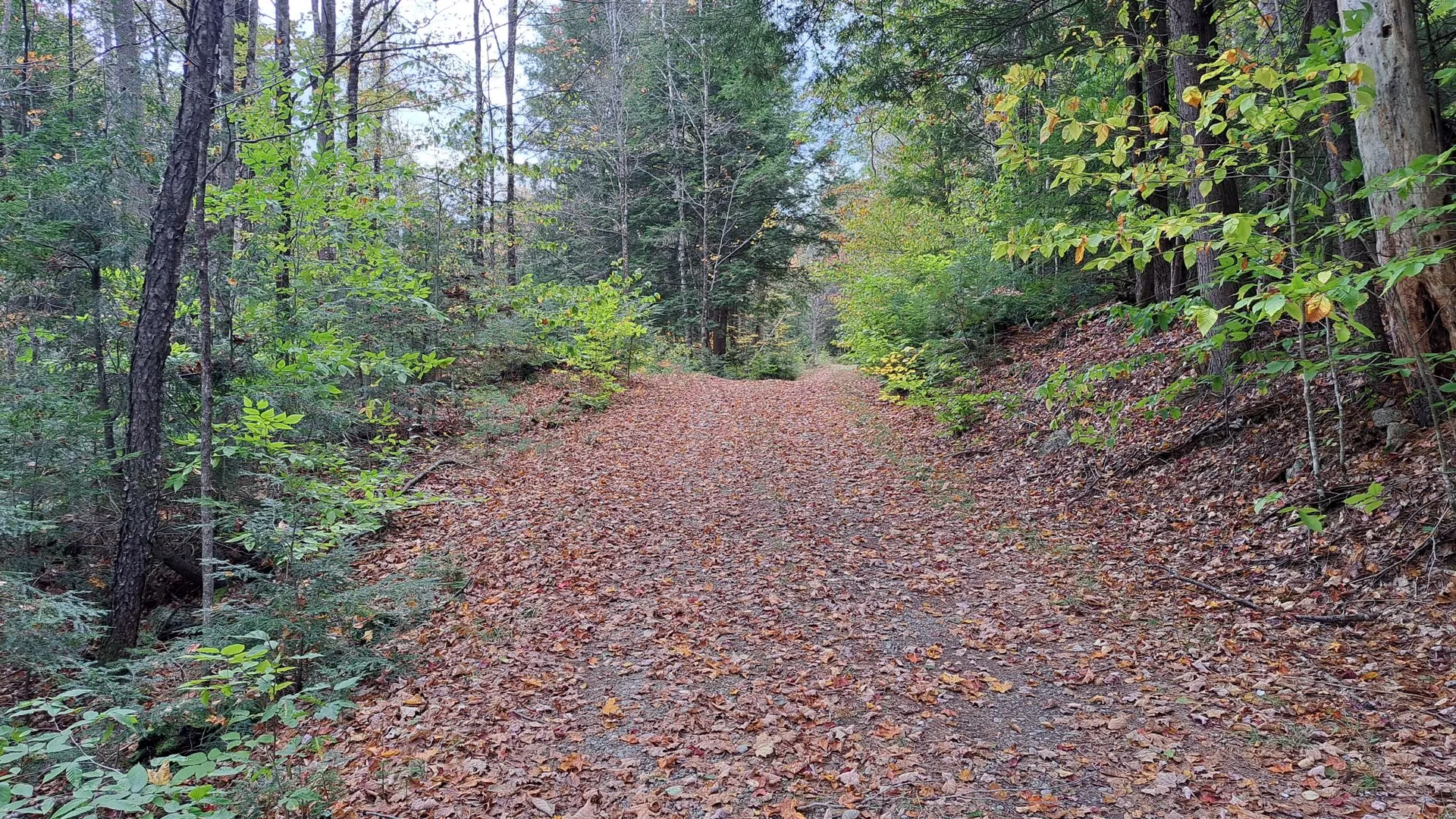 Property at Friends Lake Road, Chestertown, NY 12817 33
