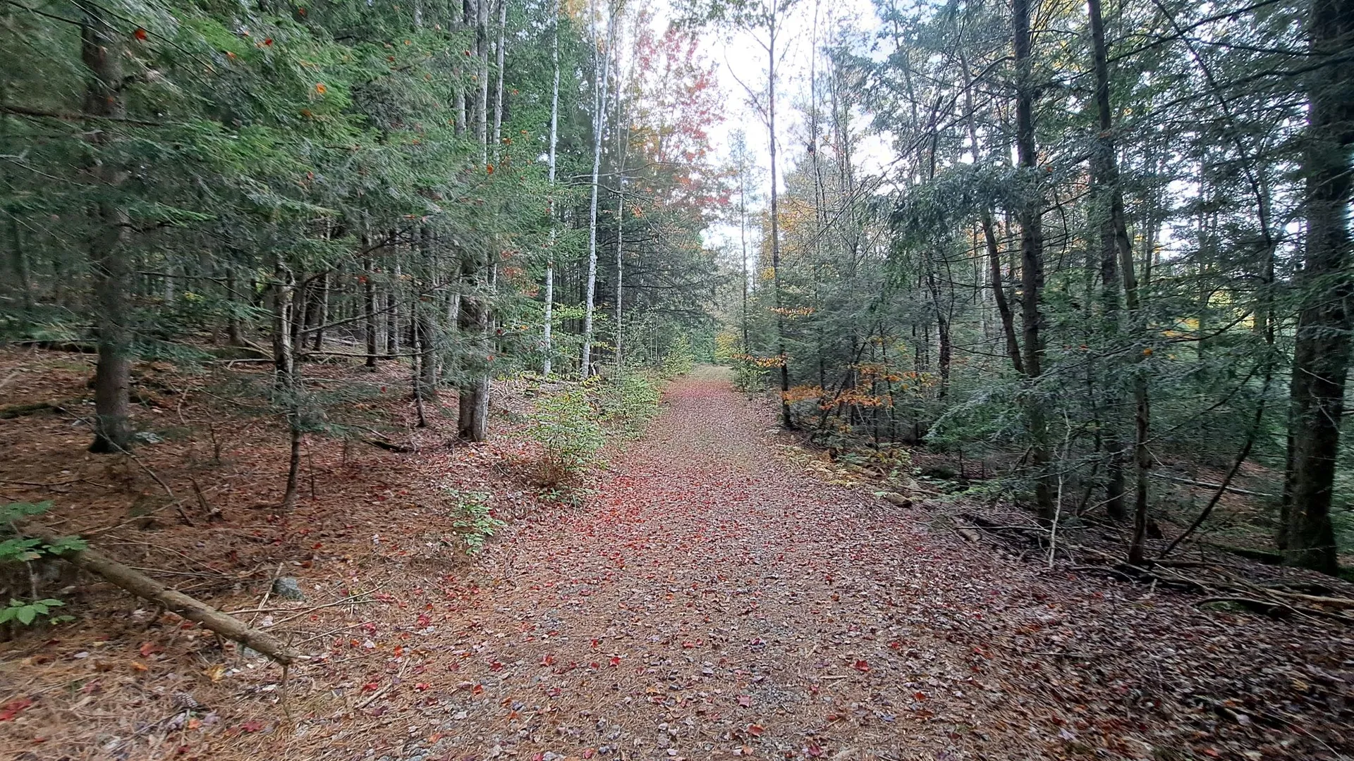 Property at Friends Lake Road, Chestertown, NY 12817 34