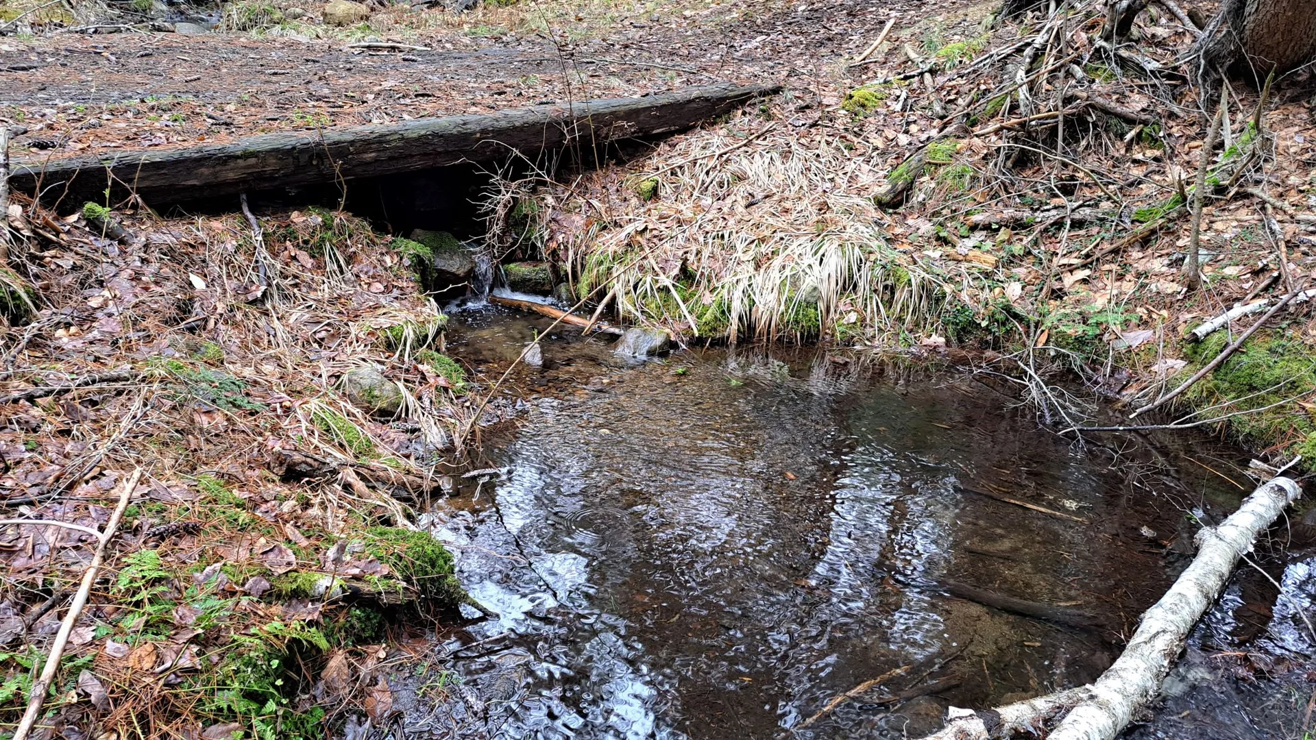 Property at Cloverleaf Drive, Warrensburg, NY 12885 3