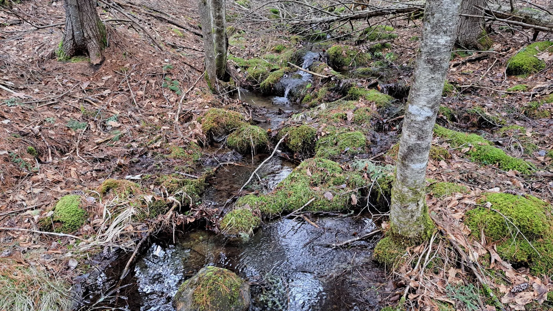 Property at Cloverleaf Drive, Warrensburg, NY 12885 4