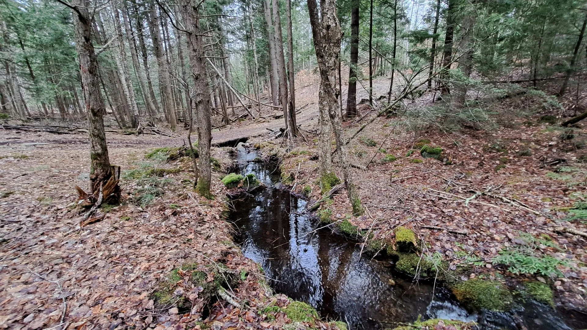 Property at Cloverleaf Drive, Warrensburg, NY 12885 28