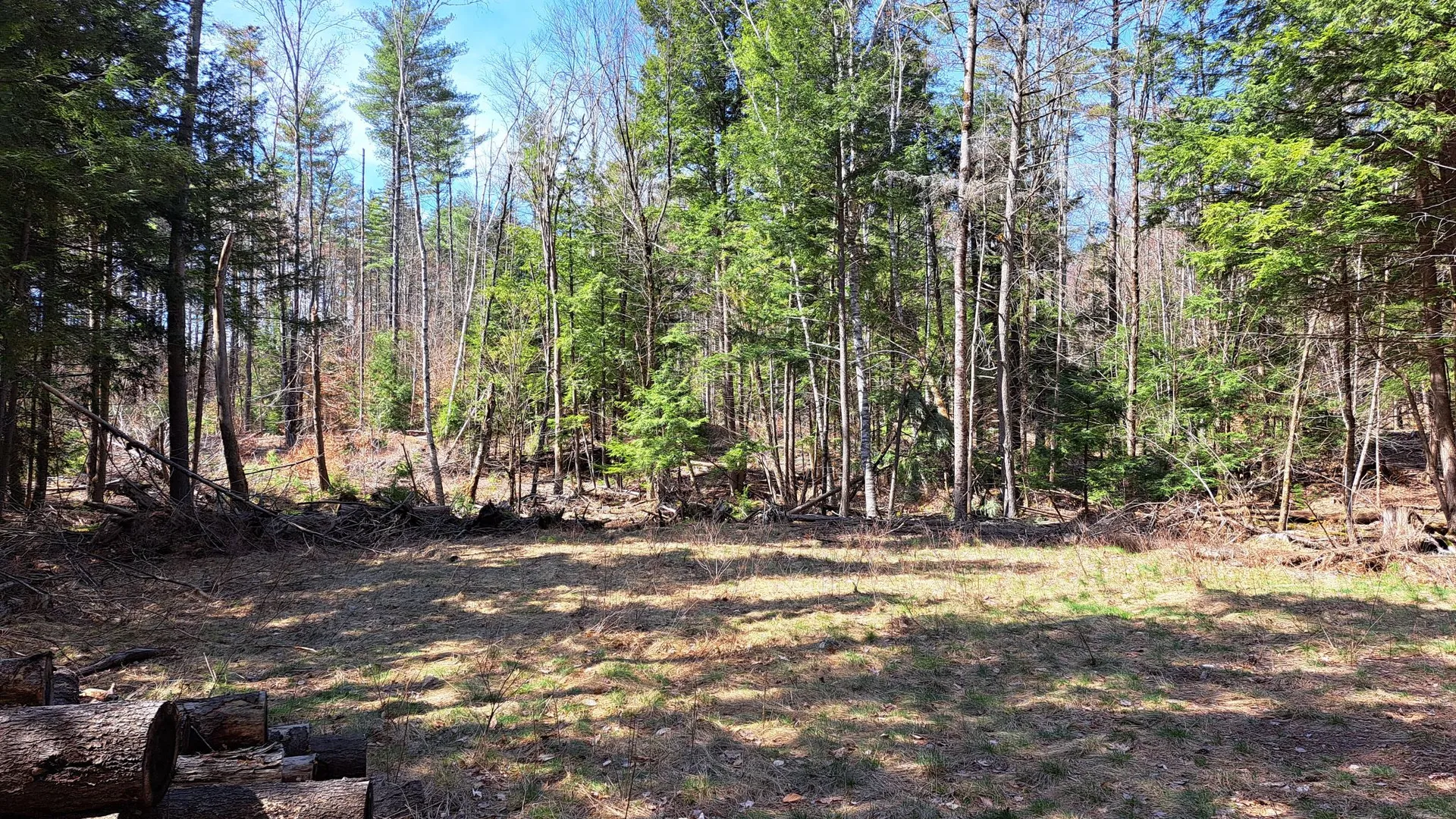 Property at Cloverleaf Drive, Warrensburg, NY 12885 31
