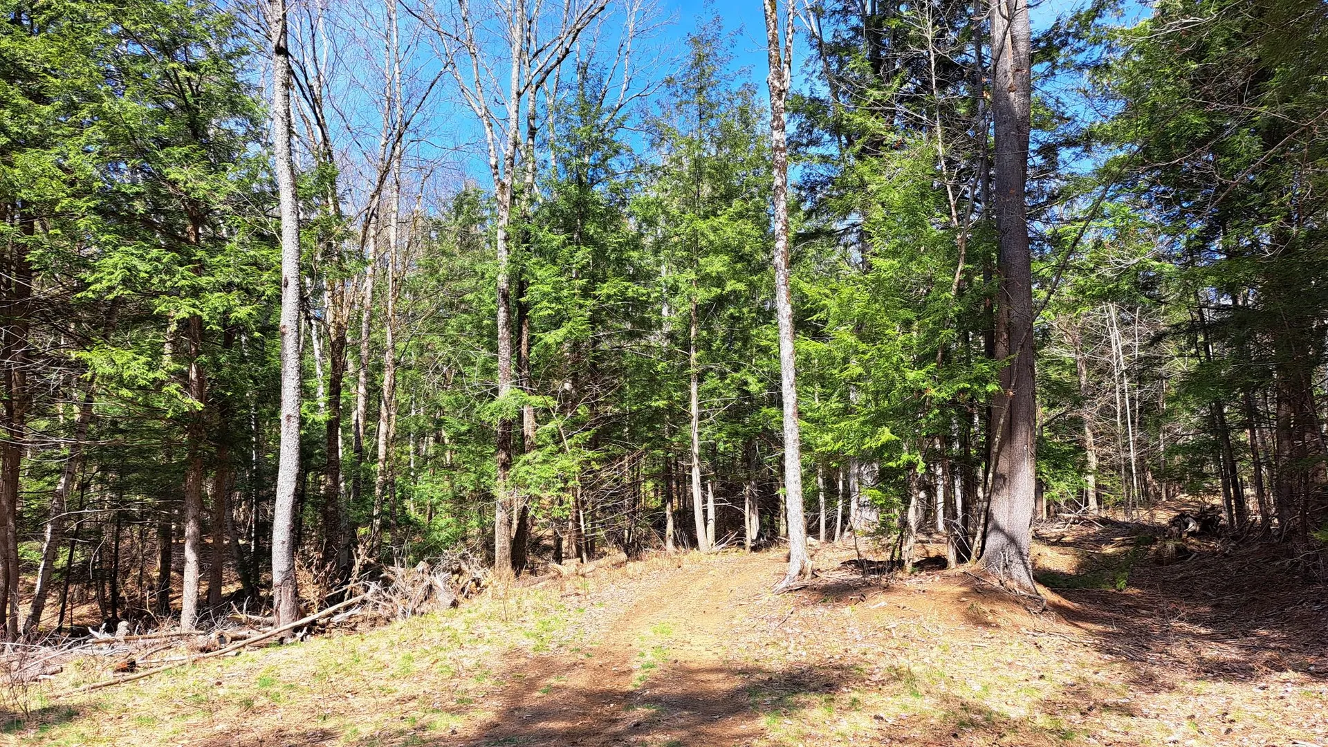 Property at Cloverleaf Drive, Warrensburg, NY 12885 32