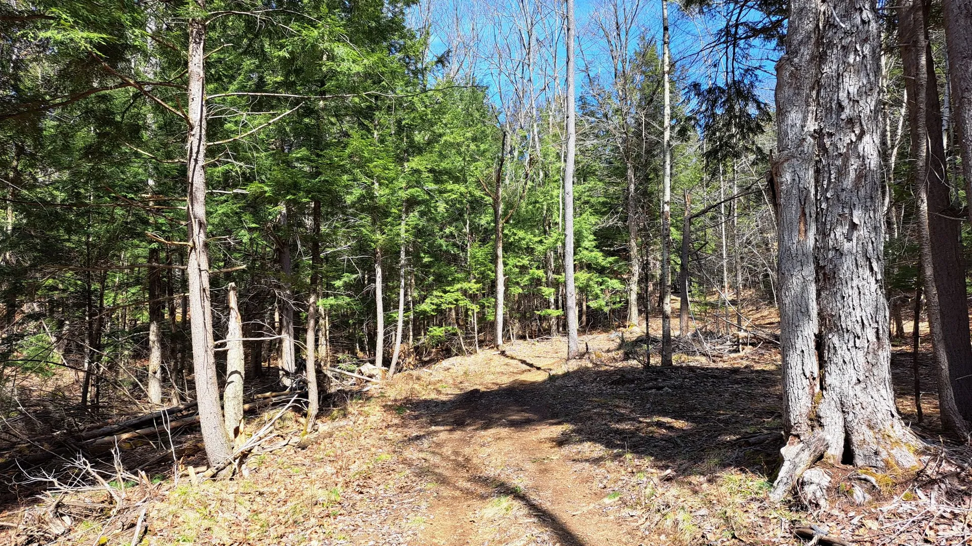 Property at Cloverleaf Drive, Warrensburg, NY 12885 34