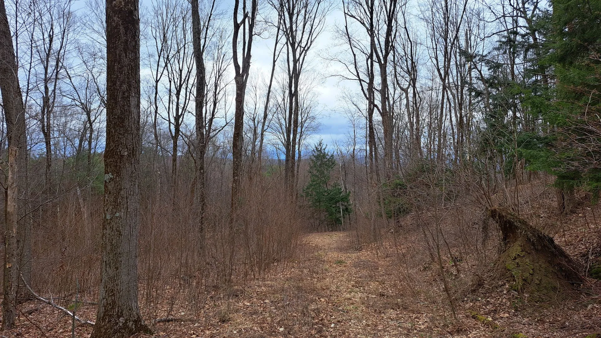 Property at Bald Mountain Road, Greenwich, NY 12834 4