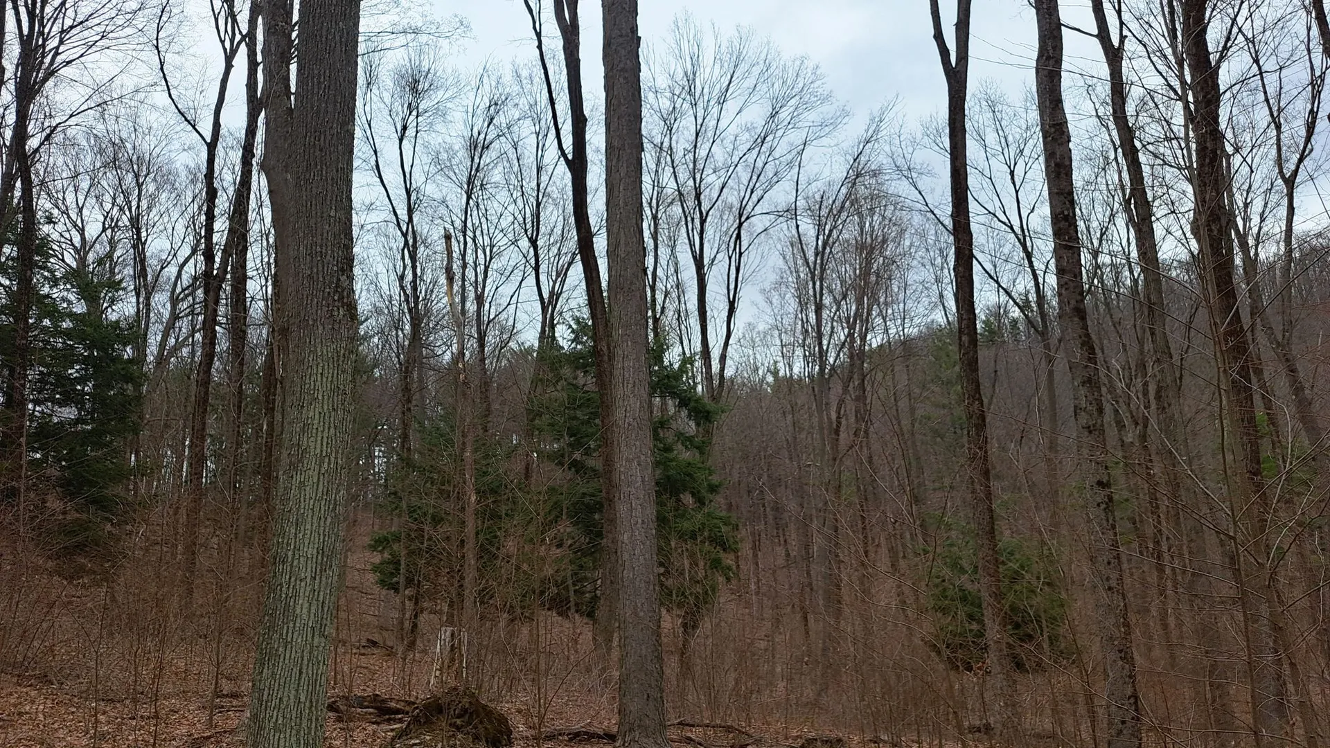 Property at Bald Mountain Road, Greenwich, NY 12834 5