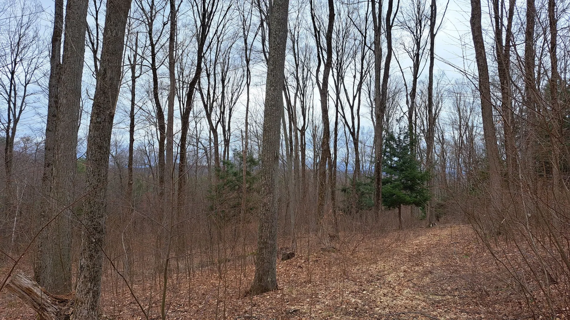 Property at Bald Mountain Road, Greenwich, NY 12834 6
