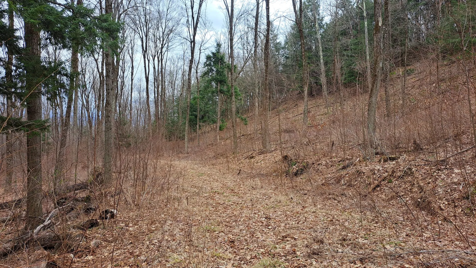 Property at Bald Mountain Road, Greenwich, NY 12834 7
