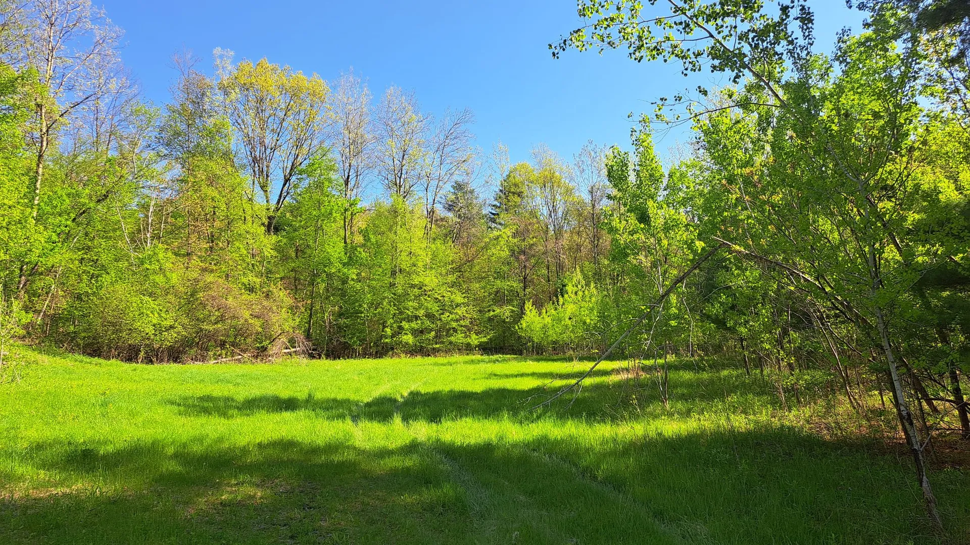 Property at Bald Mountain Road, Greenwich, NY 12834 14