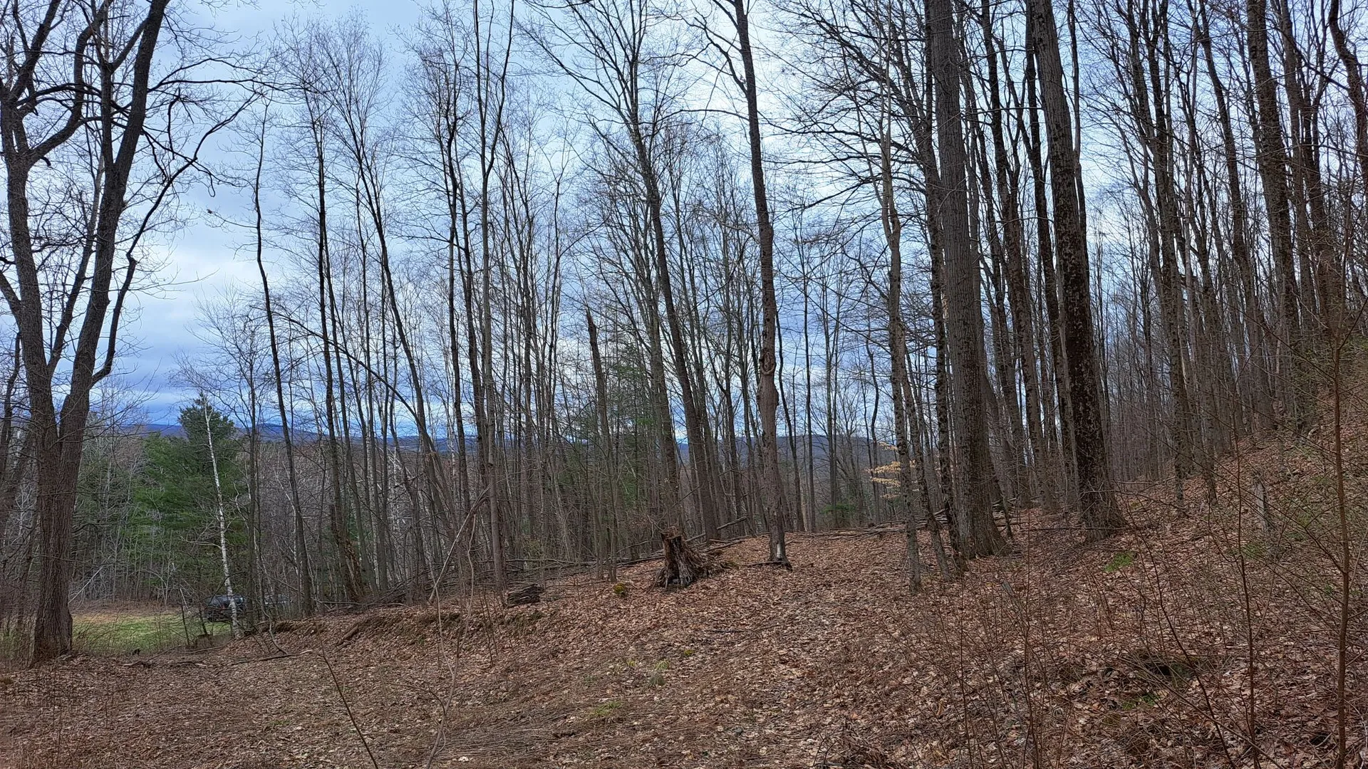 Property at Bald Mountain Road, Greenwich, NY 12834 15