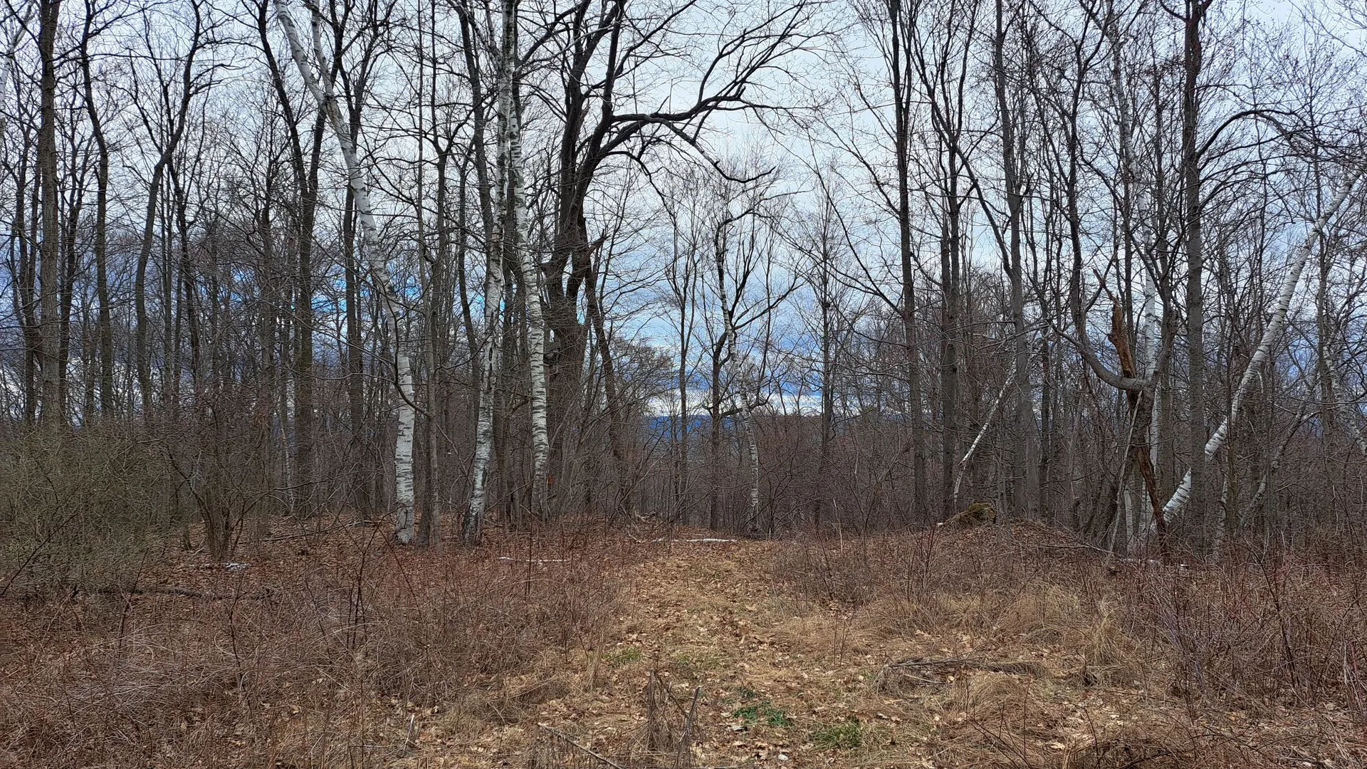Property at Bald Mountain Road, Greenwich, NY 12834 17