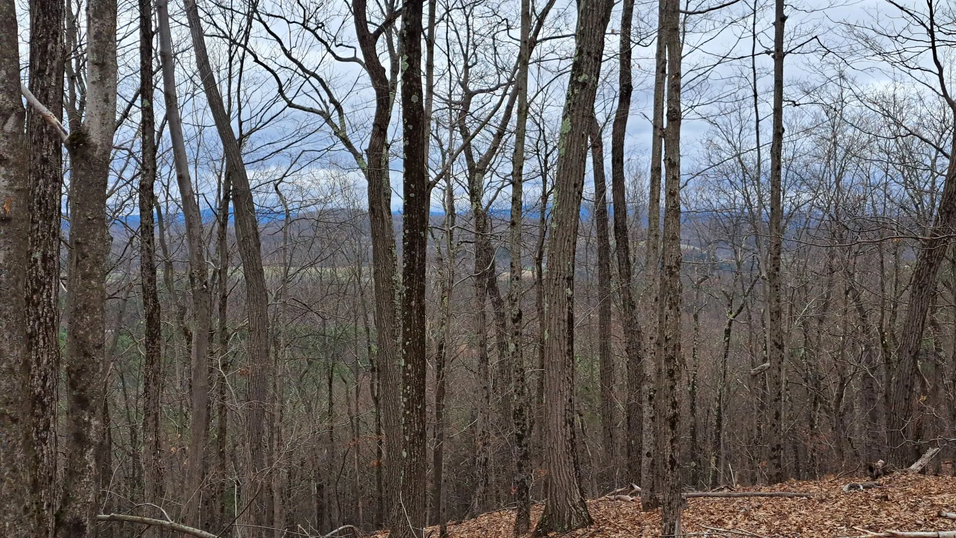 Property at Bald Mountain Road, Greenwich, NY 12834 18