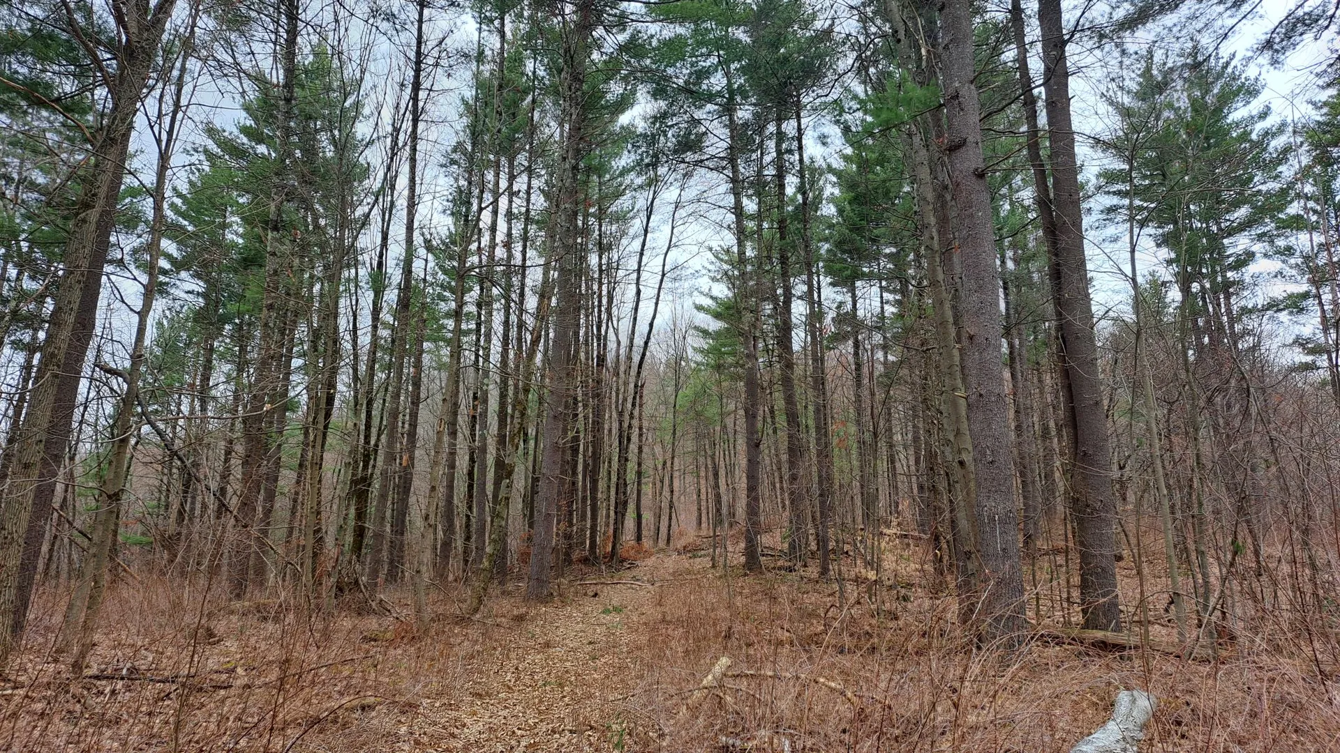 Property at Bald Mountain Road, Greenwich, NY 12834 22