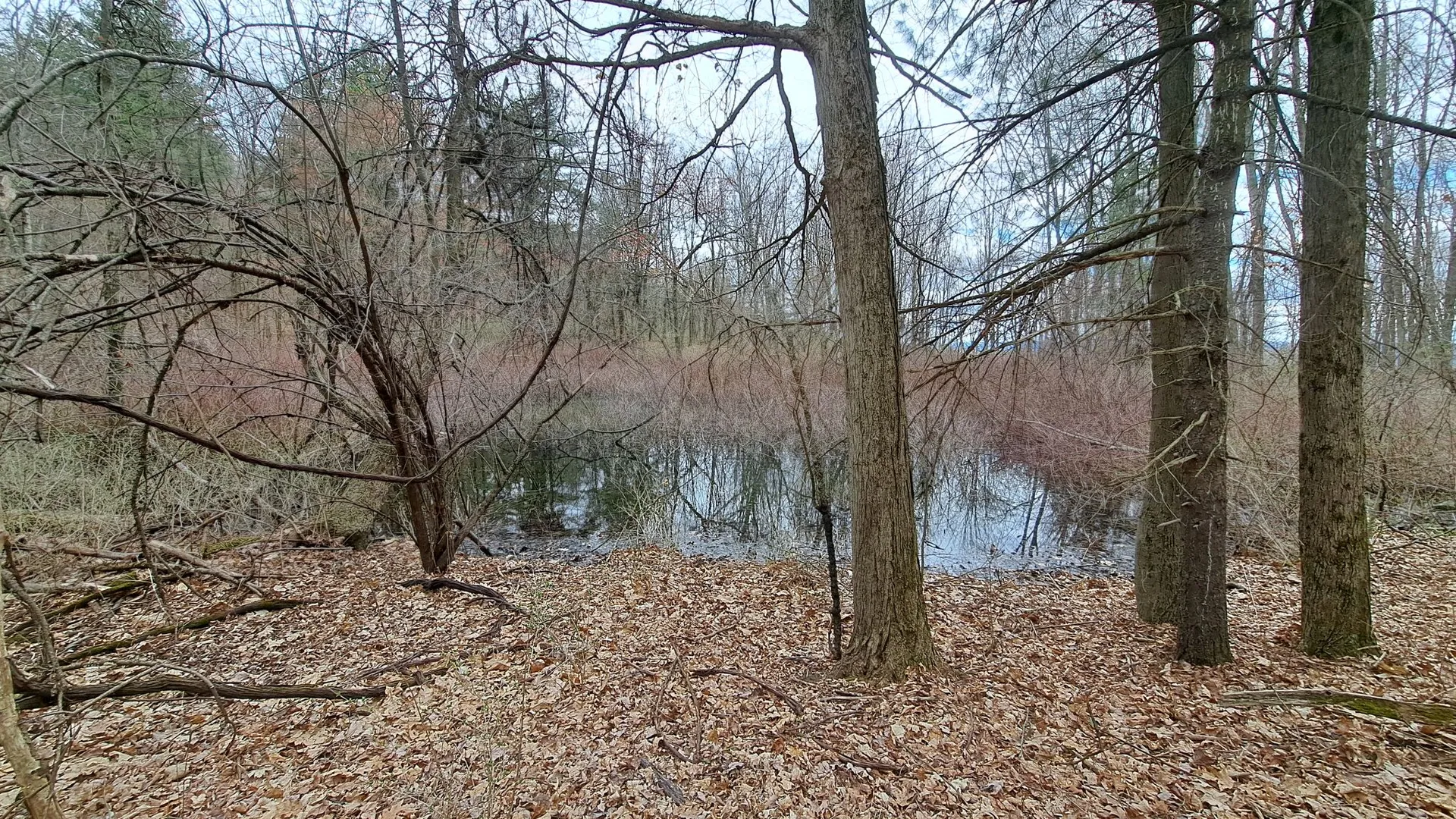 Property at Bald Mountain Road, Greenwich, NY 12834 23