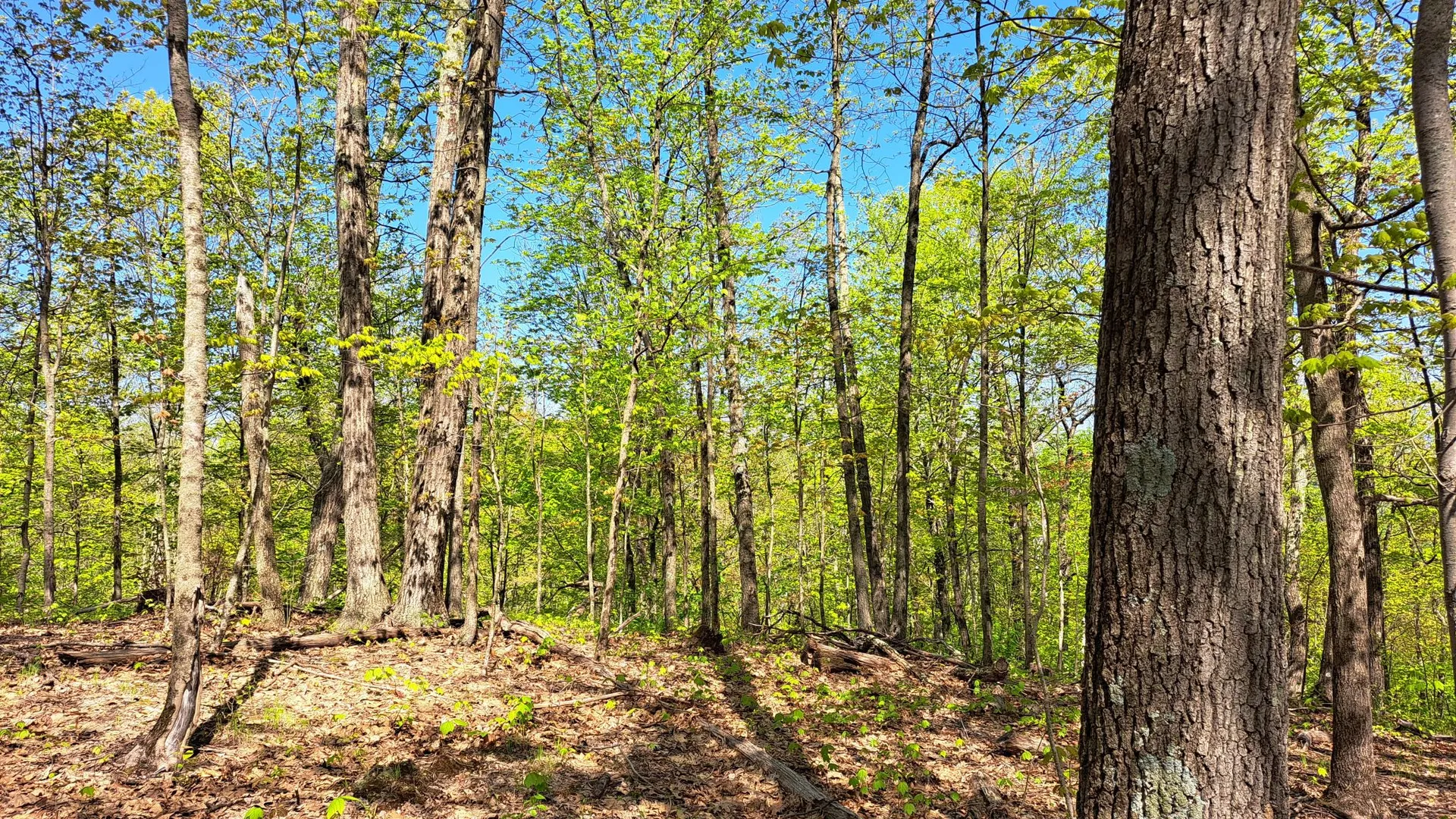 Property at Bald Mountain Road, Greenwich, NY 12834 28