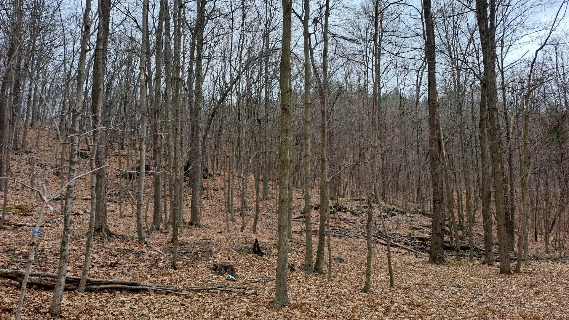 Property at Bald Mountain Road, Greenwich, NY 12834 33
