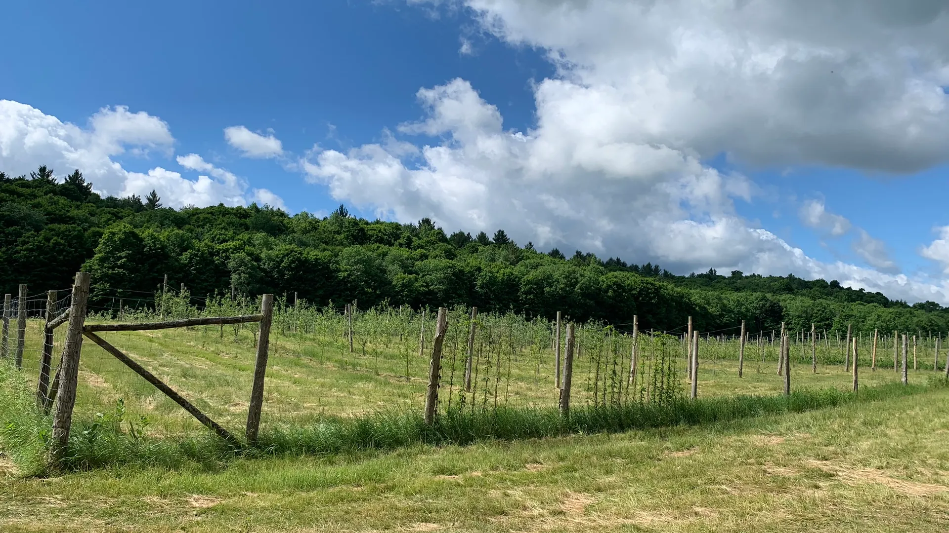 Property at 644 NYS Route 3, Pitcairn, NY 13648 5