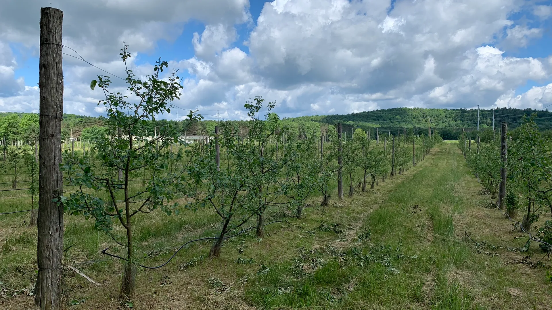Property at 644 NYS Route 3, Pitcairn, NY 13648 23