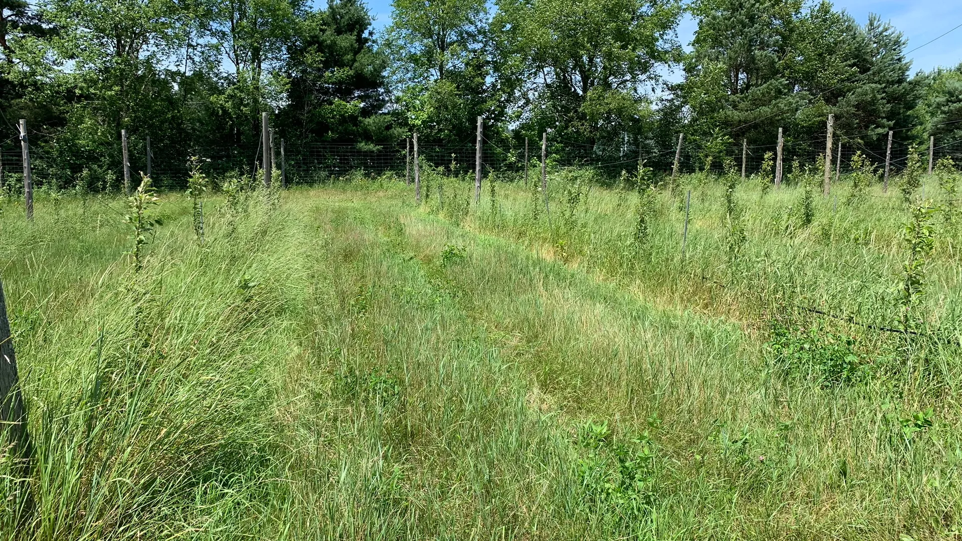 Property at 644 NYS Route 3, Pitcairn, NY 13648 24