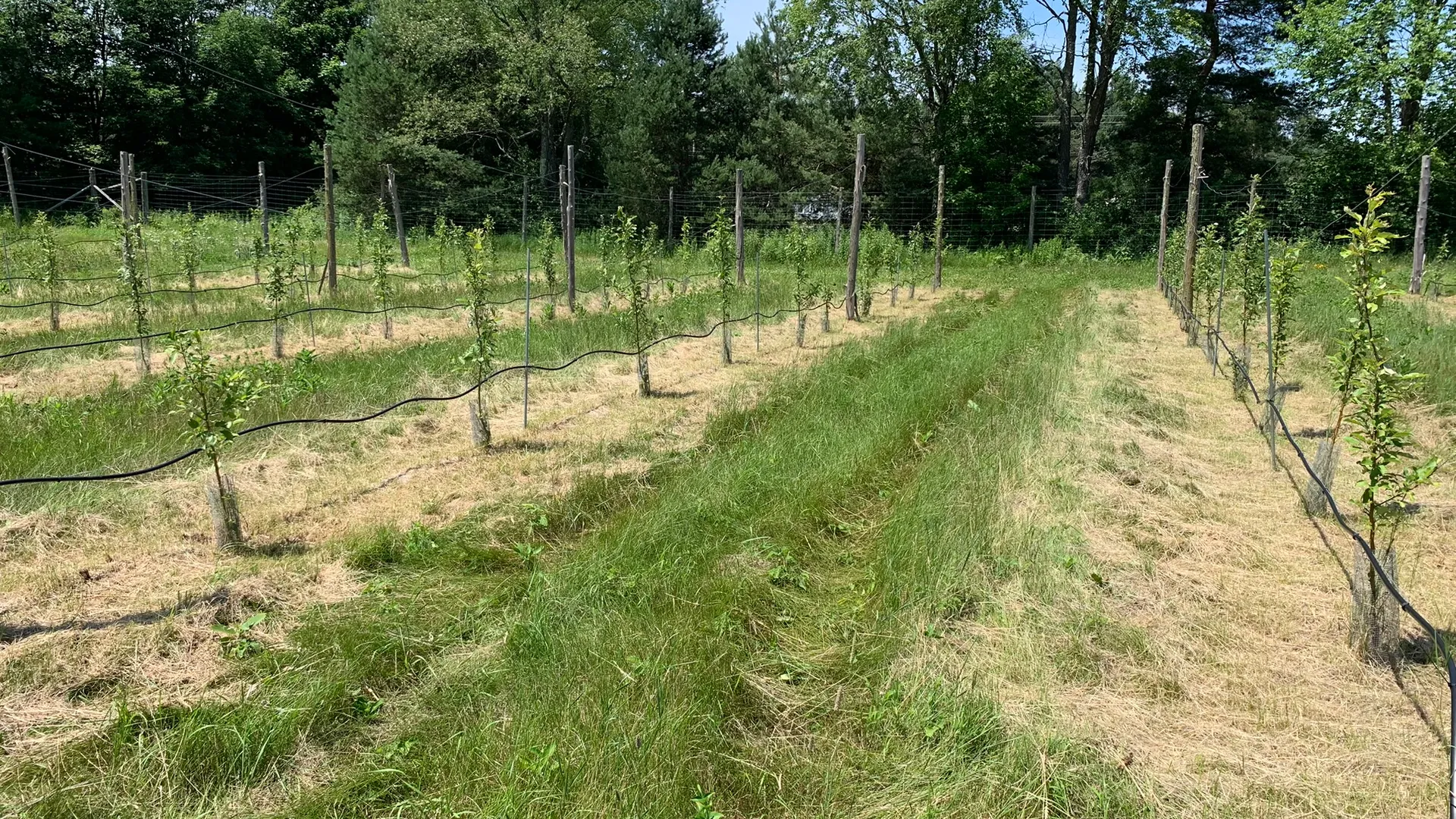 Property at 644 NYS Route 3, Pitcairn, NY 13648 25