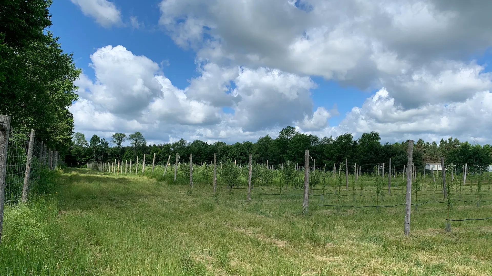 Property at 644 NYS Route 3, Pitcairn, NY 13648 26