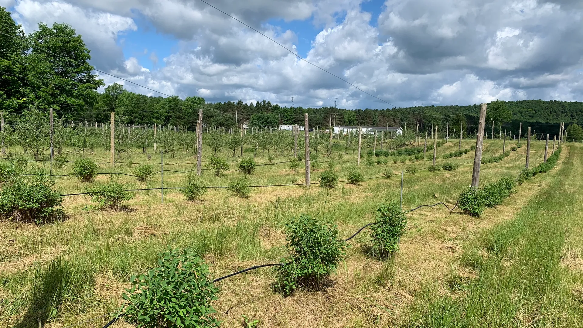 Property at 644 NYS Route 3, Pitcairn, NY 13648 29