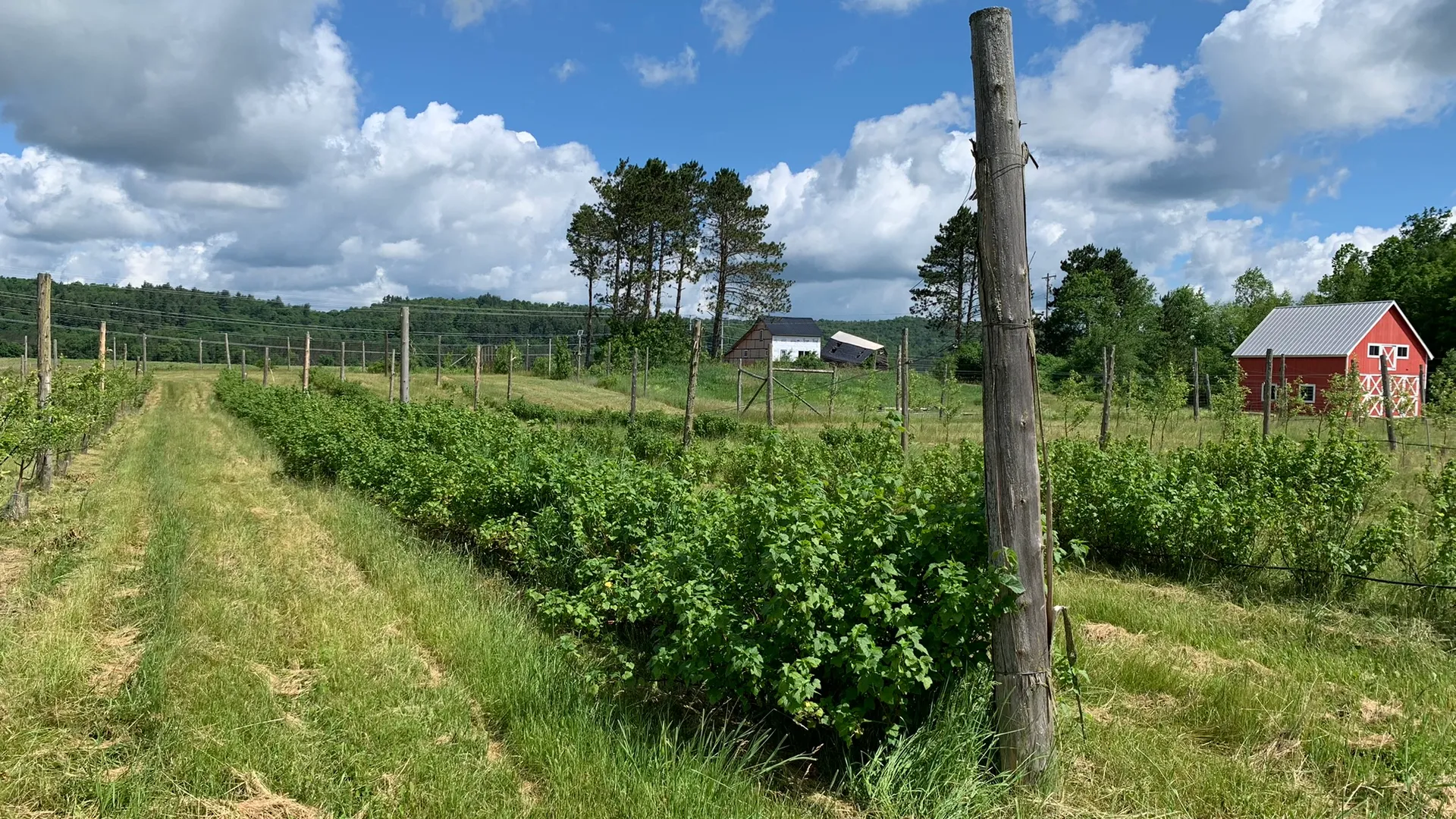 Property at 644 NYS Route 3, Pitcairn, NY 13648 31
