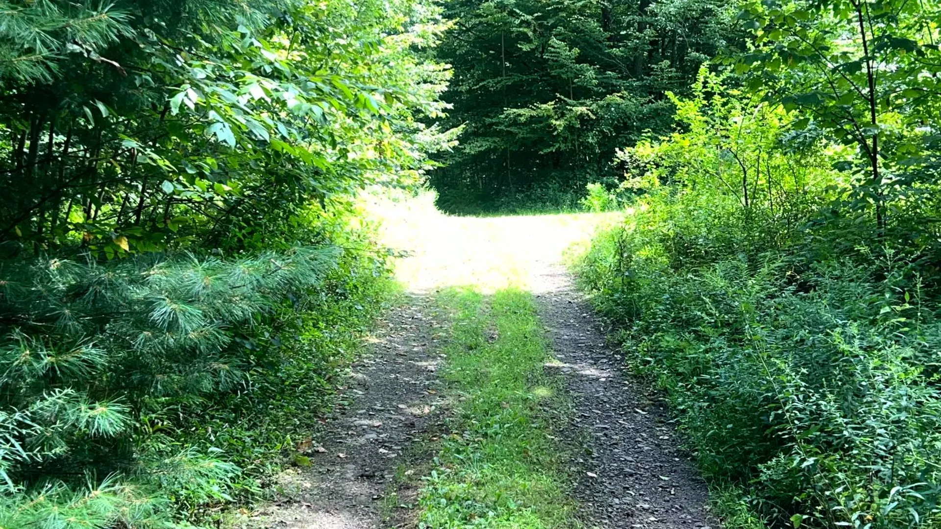 Property at Lot 26 Birmingham Woods Rd, Camden, NY 13316 9