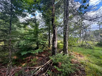 Property at 1.1 Farr Rd, Ohio, NY 13324