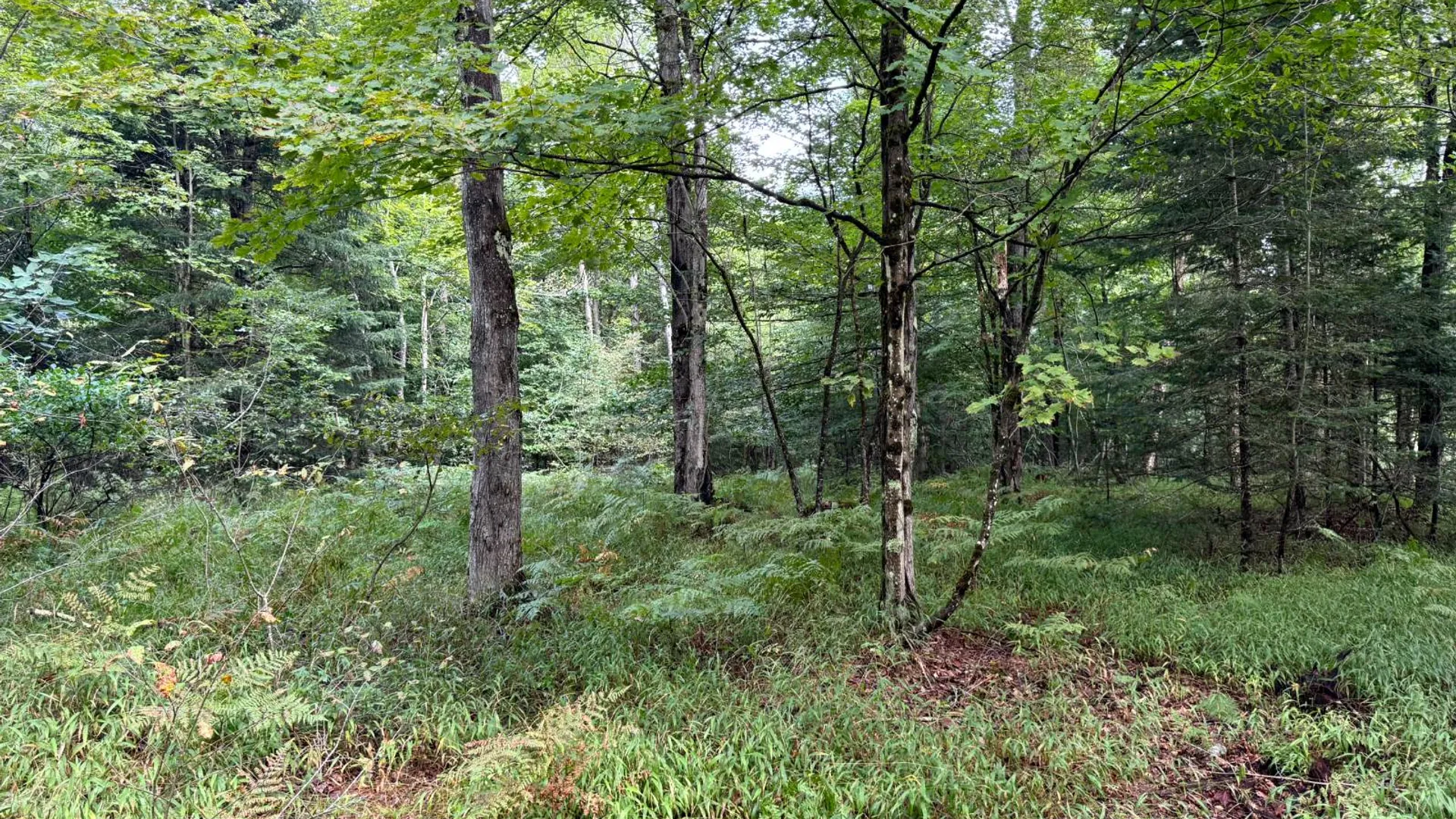 Property at 1.1 Farr Rd, Ohio, NY 13324 5