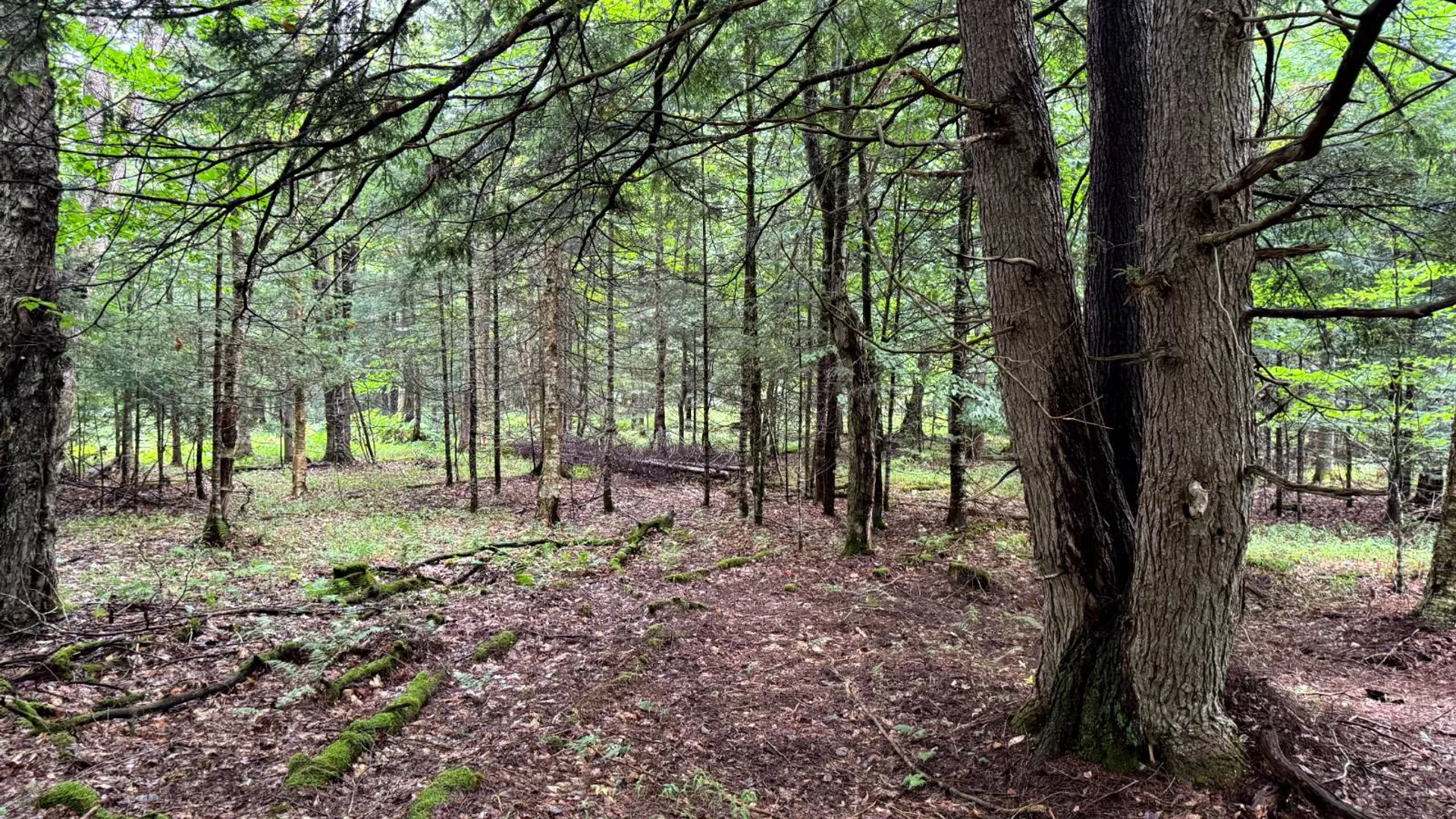 Property at 1.2 Farr Rd, Ohio, NY 13324 5