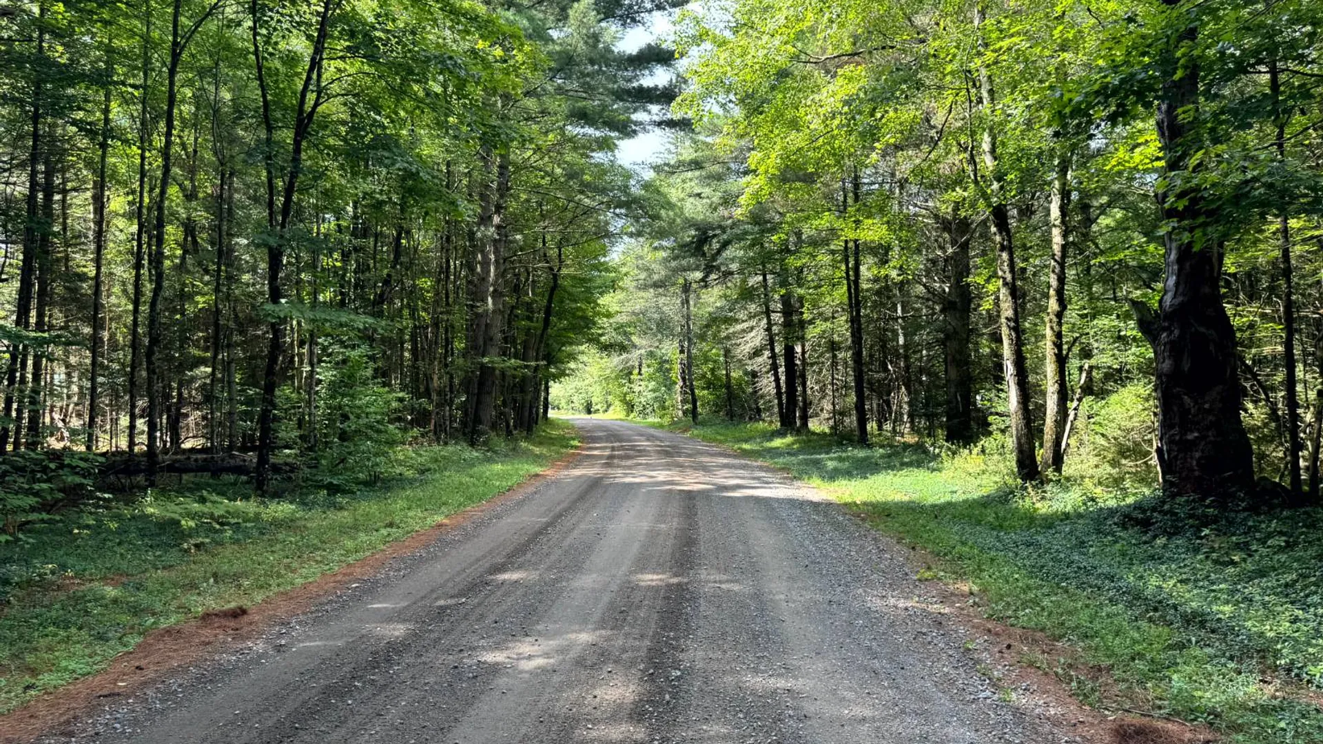 Property at 1.2 Farr Rd, Ohio, NY 13324 8