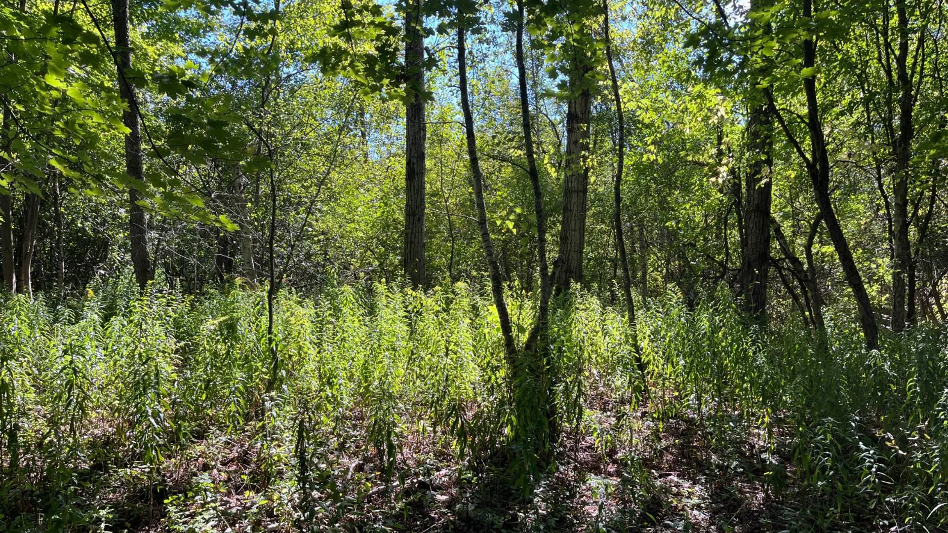 Property at 00 County Route 47, Winthrop, NY 13676 14