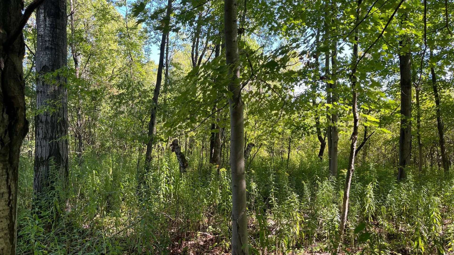 Property at 00 County Route 47, Winthrop, NY 13676 15