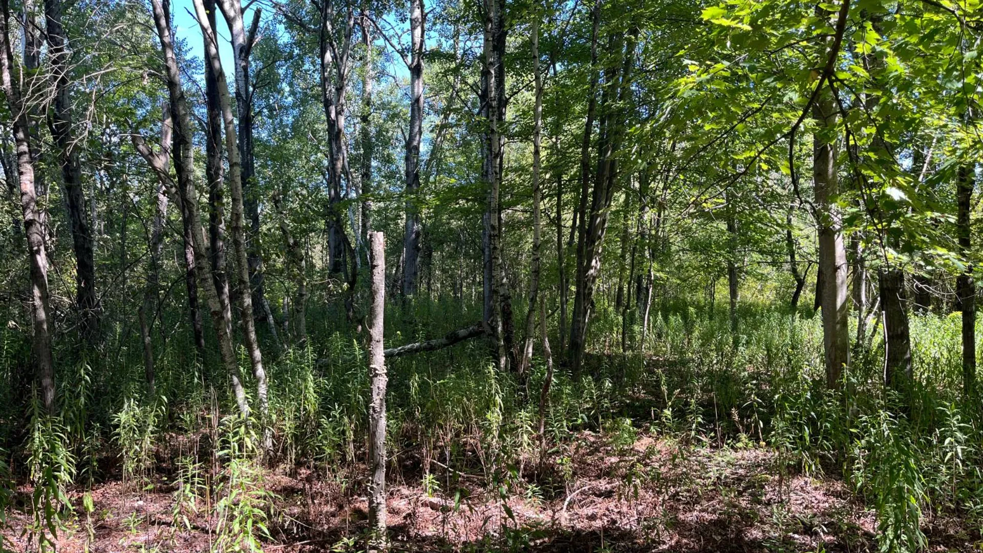 Property at 00 County Route 47, Winthrop, NY 13676 16