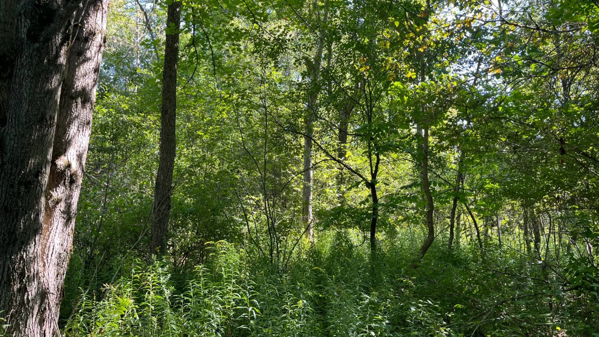 Property at 00 County Route 47, Winthrop, NY 13676 3