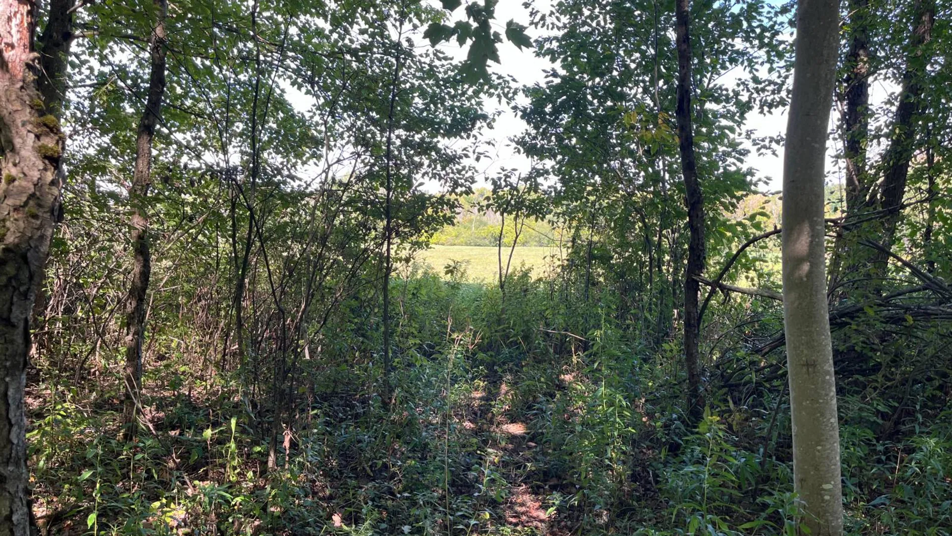 Property at 00 County Route 47, Winthrop, NY 13676 7