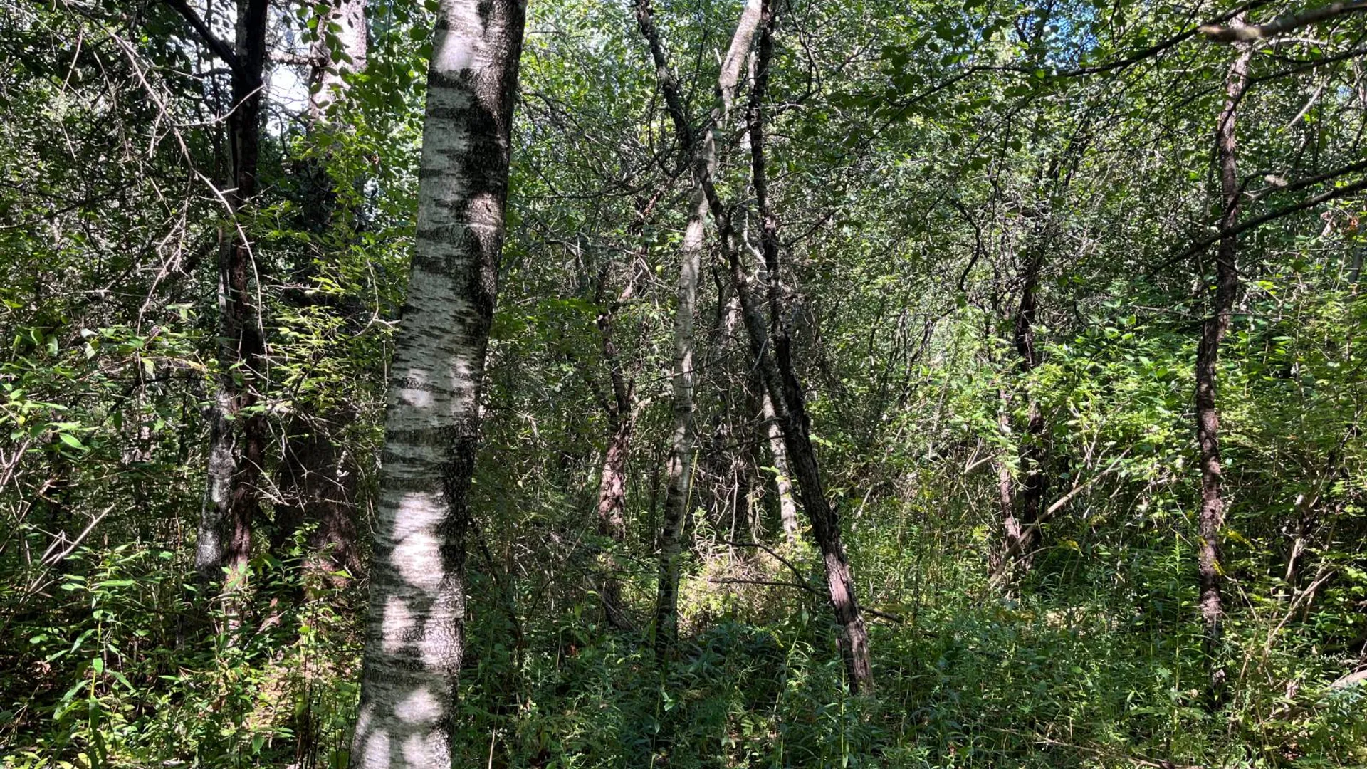 Property at 00 County Route 47, Winthrop, NY 13676 8