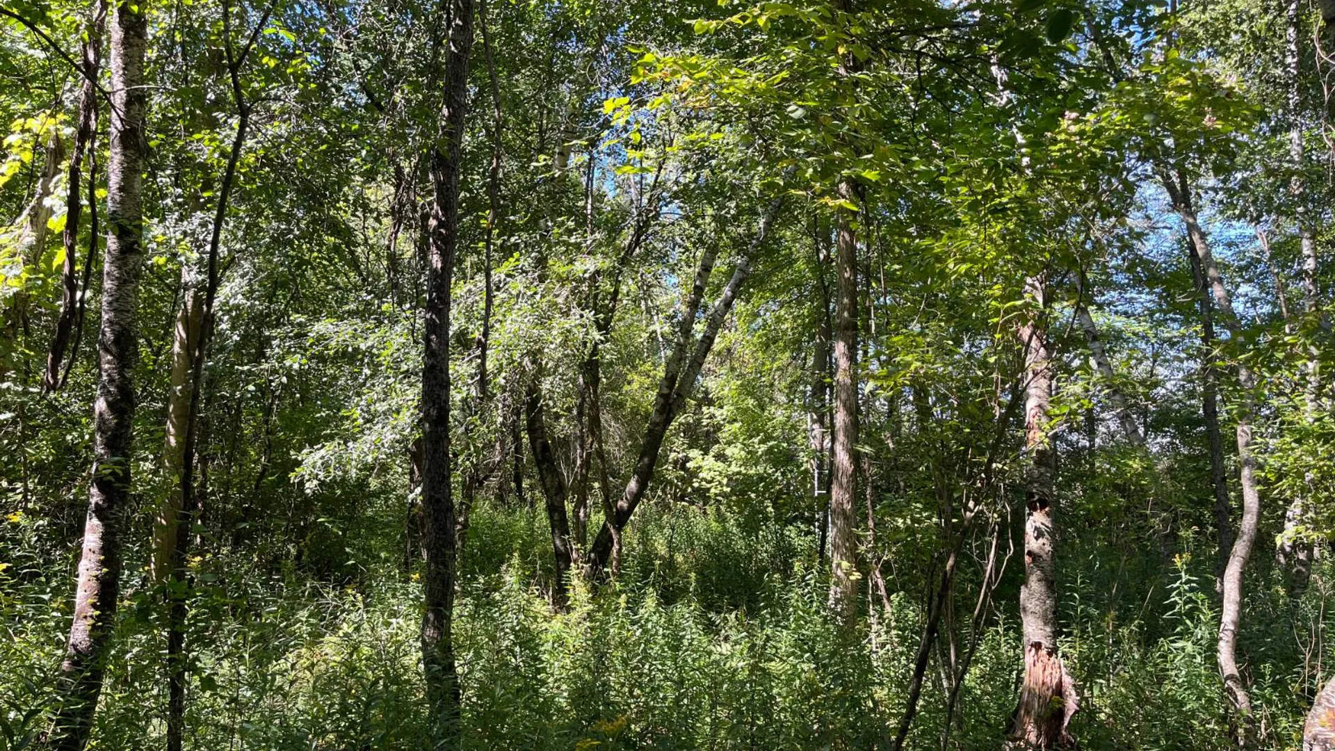 Property at 00 County Route 47, Winthrop, NY 13676 9