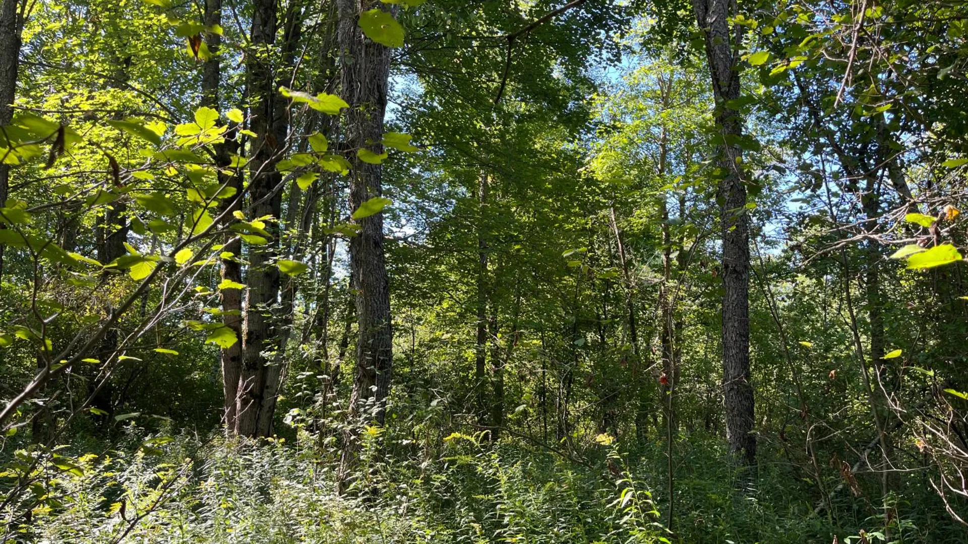 Property at 00 County Route 47, Winthrop, NY 13676 11