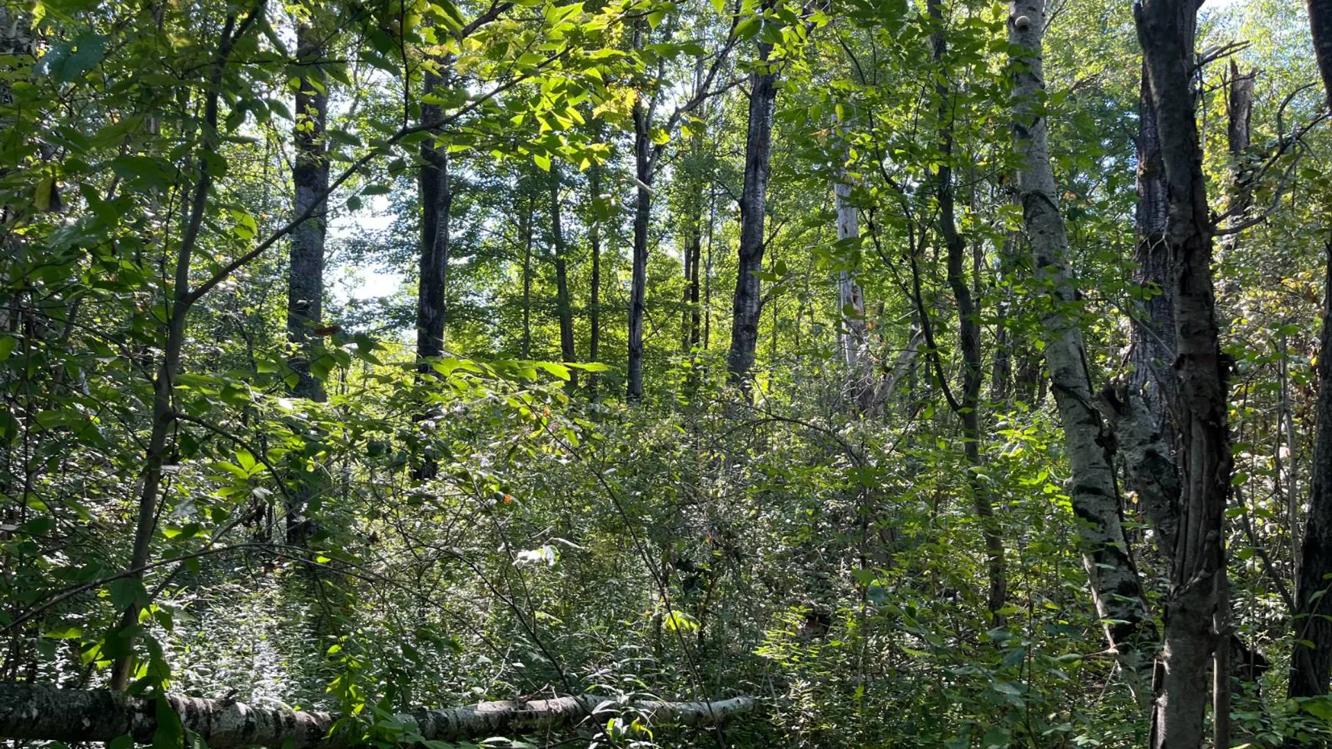 Property at 00 County Route 47, Winthrop, NY 13676 12