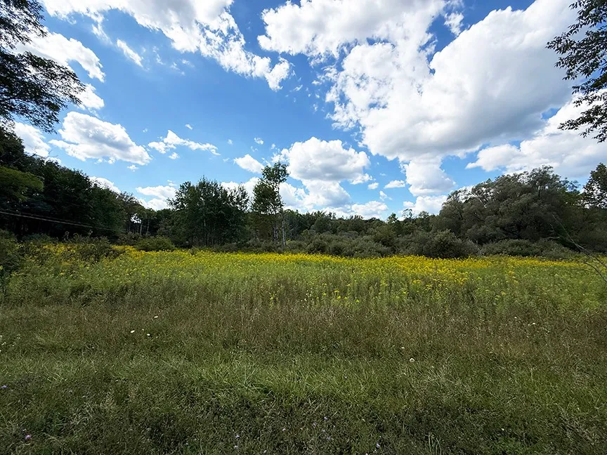 Property at L 9-11 Armstrong Rd & Co Hwy 28, Cooperstown, NY 13326