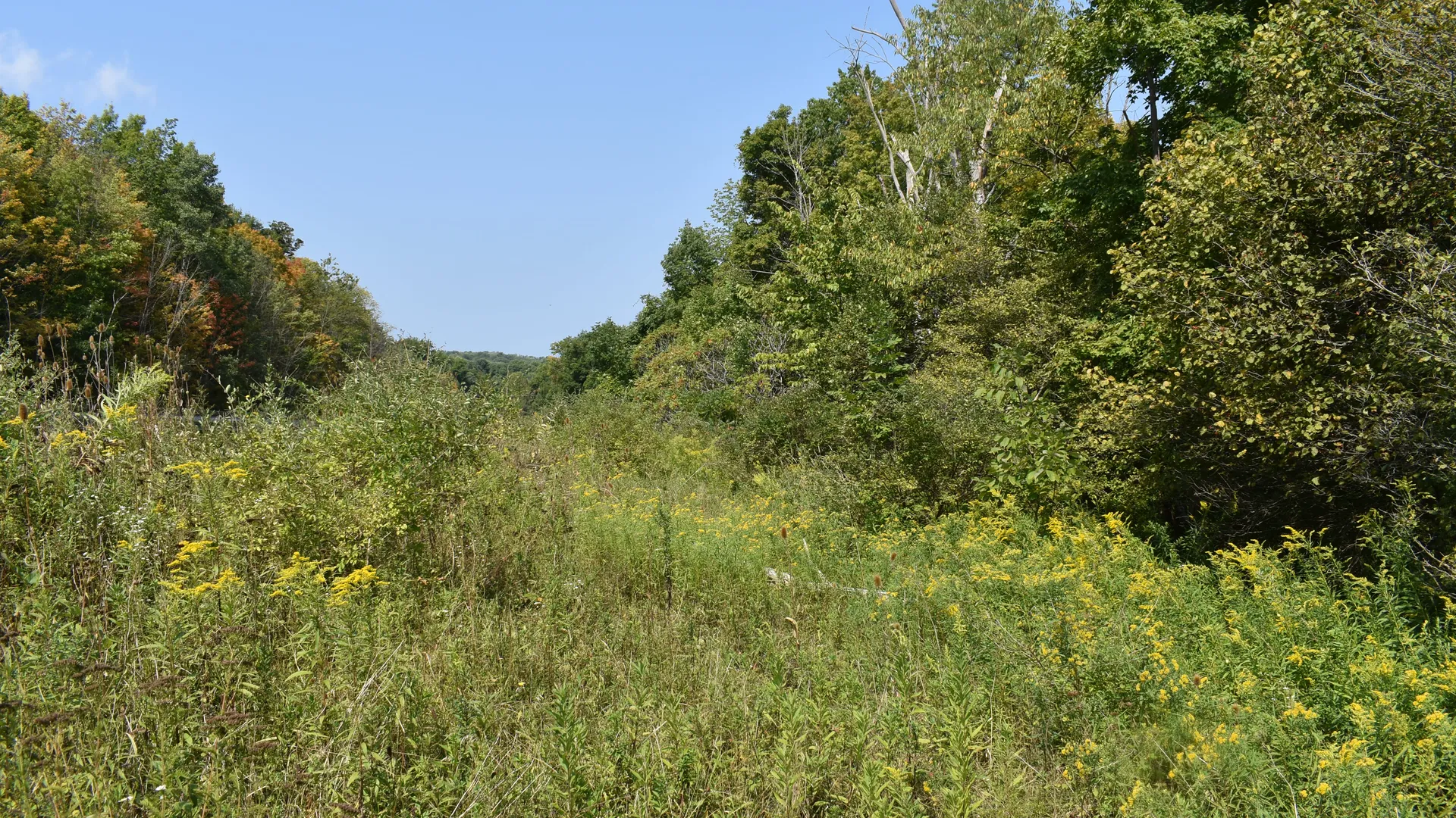 Property at Route 380, Jamestown, NY 14701 24