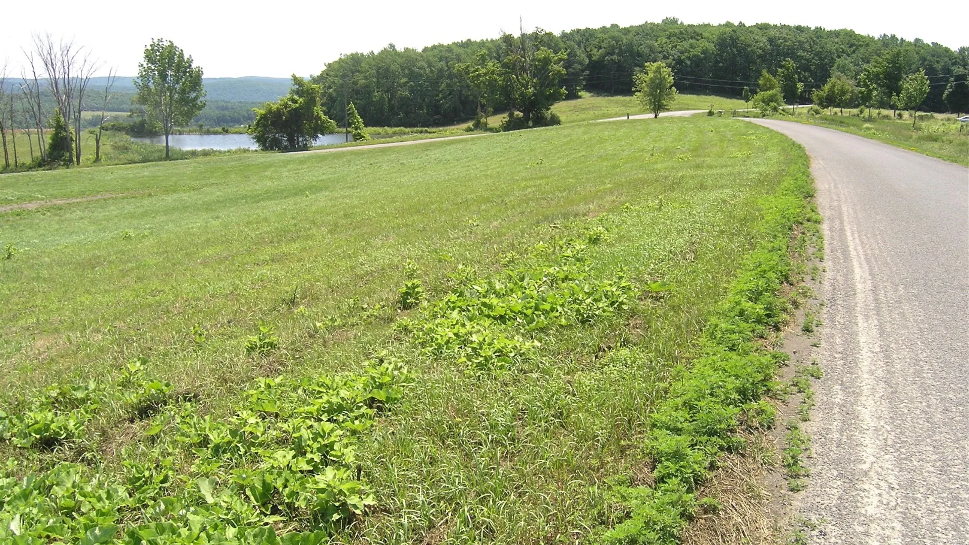 Property at 116 Sunset Ridge Road, Cooperstown, NY 13326 7