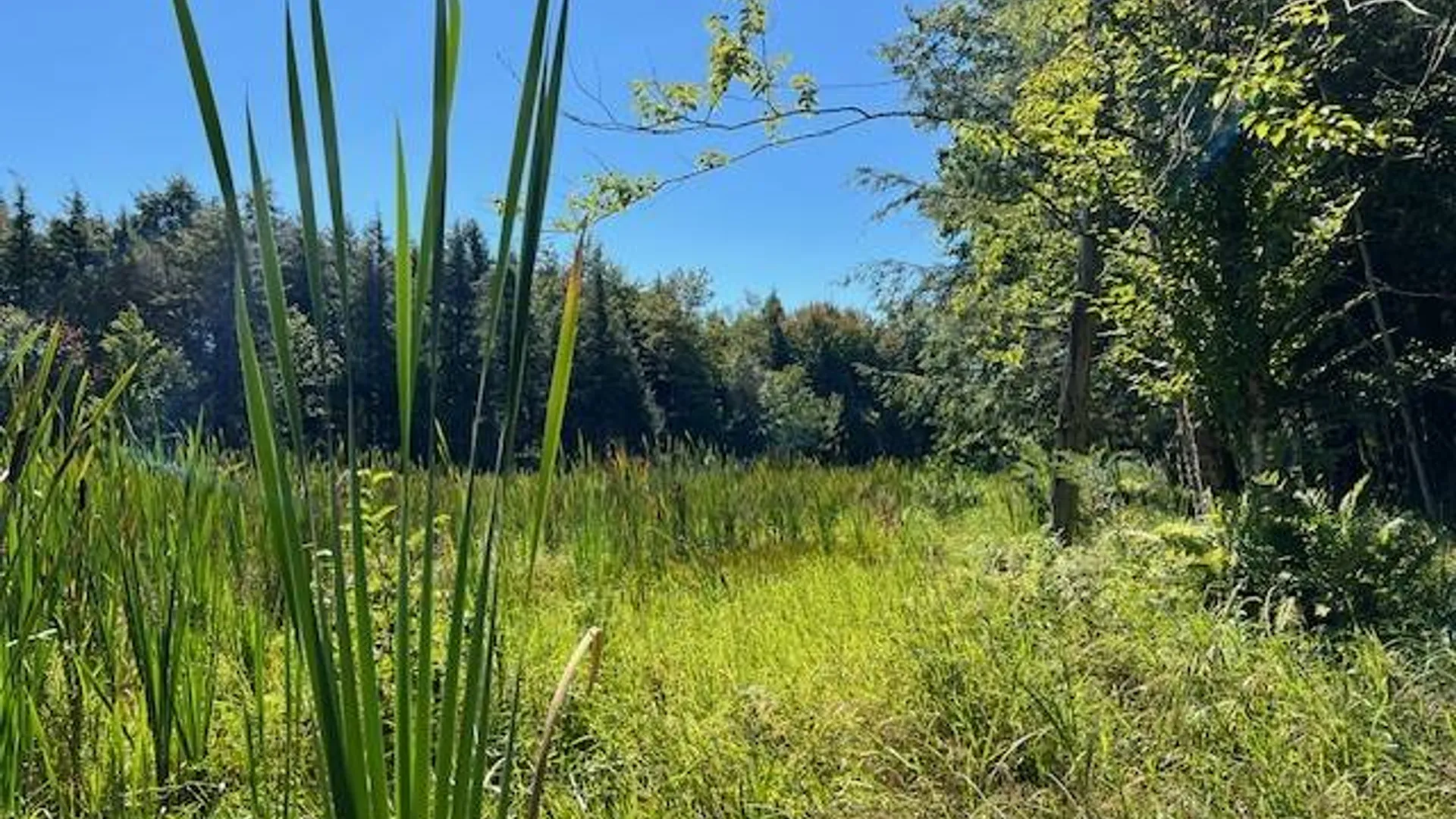 Property at 2070 North Road, Dolgeville, NY 13329 3